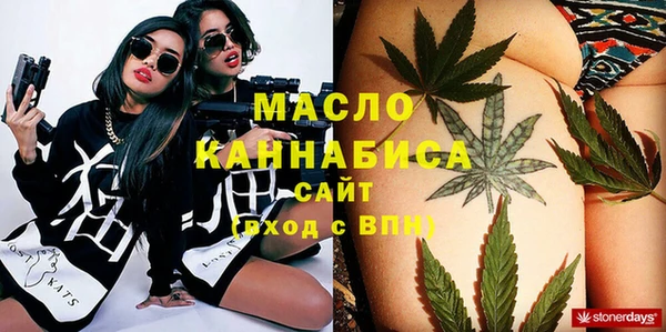 индика Дмитровск