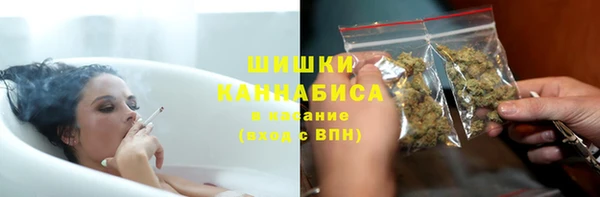 индика Дмитровск