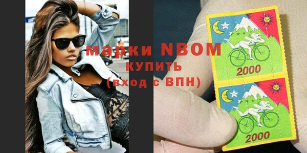 индика Дмитровск