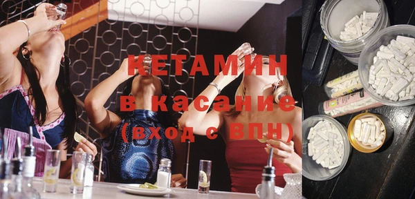 индика Дмитровск
