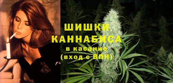 Альфа ПВП Горняк