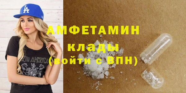 индика Дмитровск