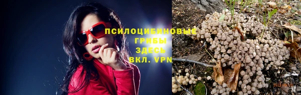 МДМА Дмитриев