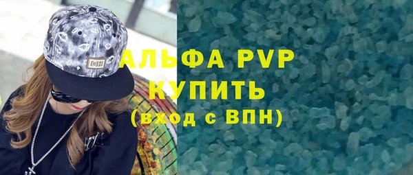 индика Дмитровск